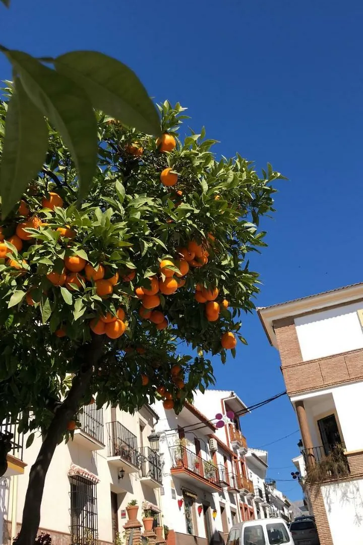 Casa Giuliani Perfect Place To Stay By The Beach Torremolinos 0*,  Spain